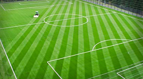 football pitch3